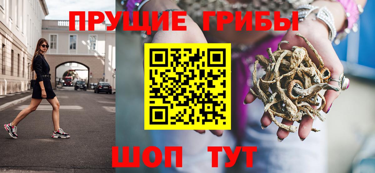 хочу наркоту  Галлюциногенные грибы прущие грибы  Вход с VPN  Ржев 