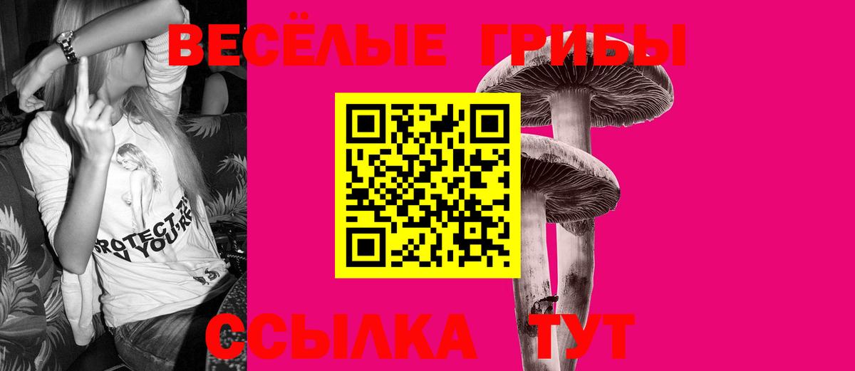 Псилоцибиновые грибы GOLDEN TEACHER Ржев